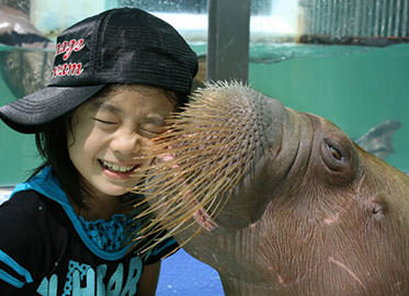 伊勢夫婦岩ふれあい水族館